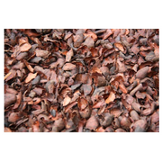 Cocao Husks (500 gm) - เปลือกโกโก้